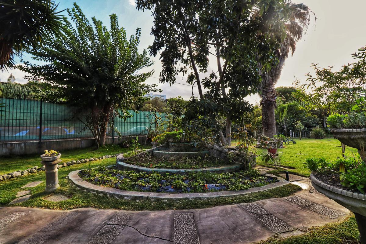 Jardins de Sao Luis photo 4