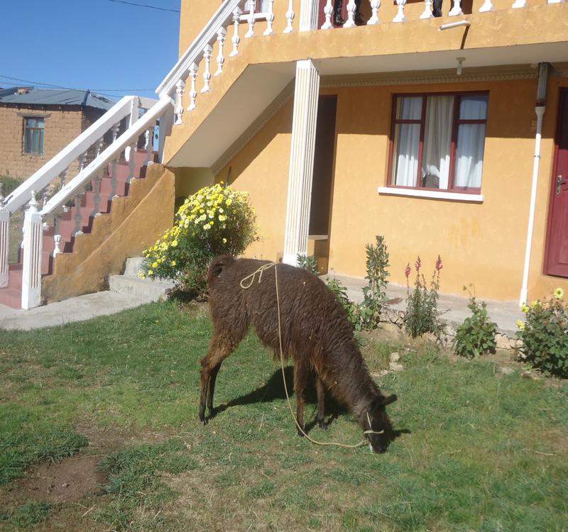 Hostal del Sol photo 6
