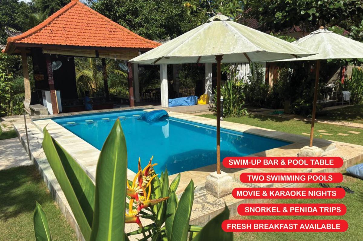 Castaway Island Hostel photo 1