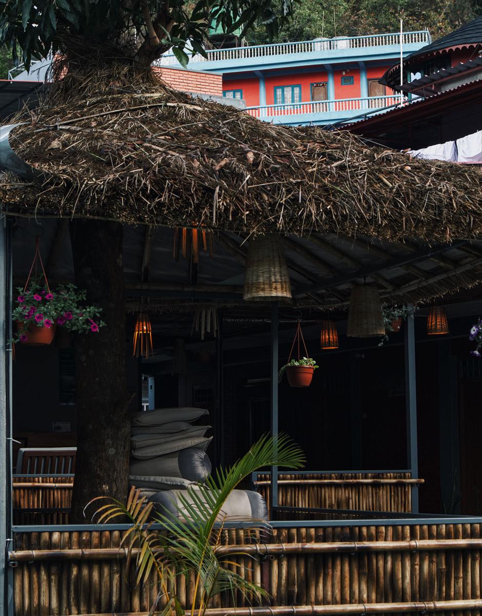 The Mango Tree Backpackers Hostel photo 2