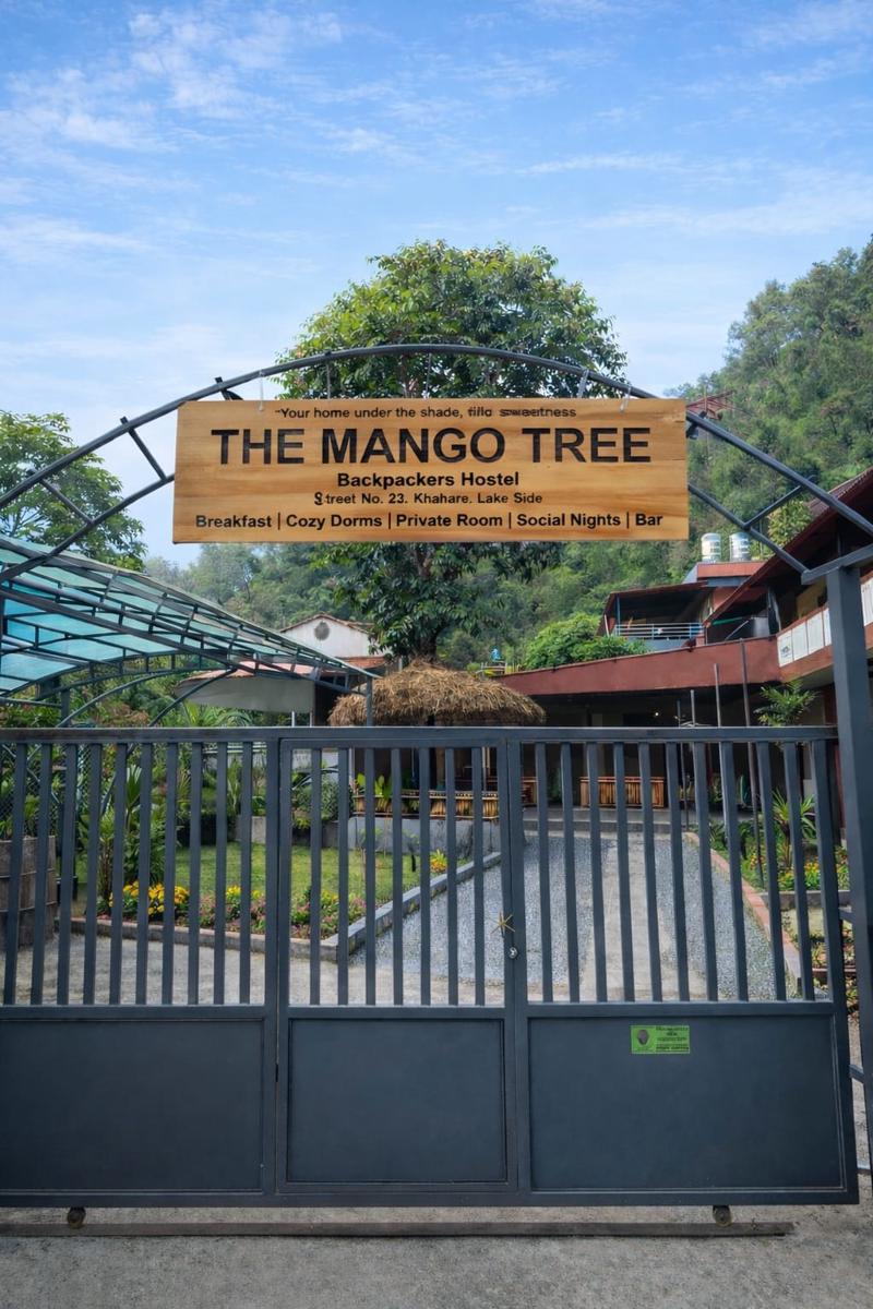 The Mango Tree Backpackers Hostel photo 3