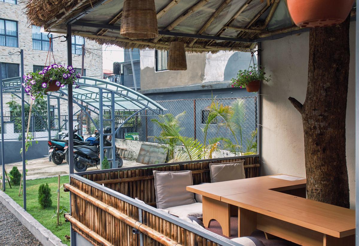 The Mango Tree Backpackers Hostel photo 4