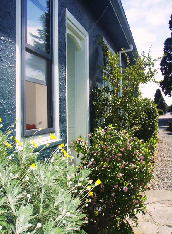 Big Tree Lodge Methven photo 5