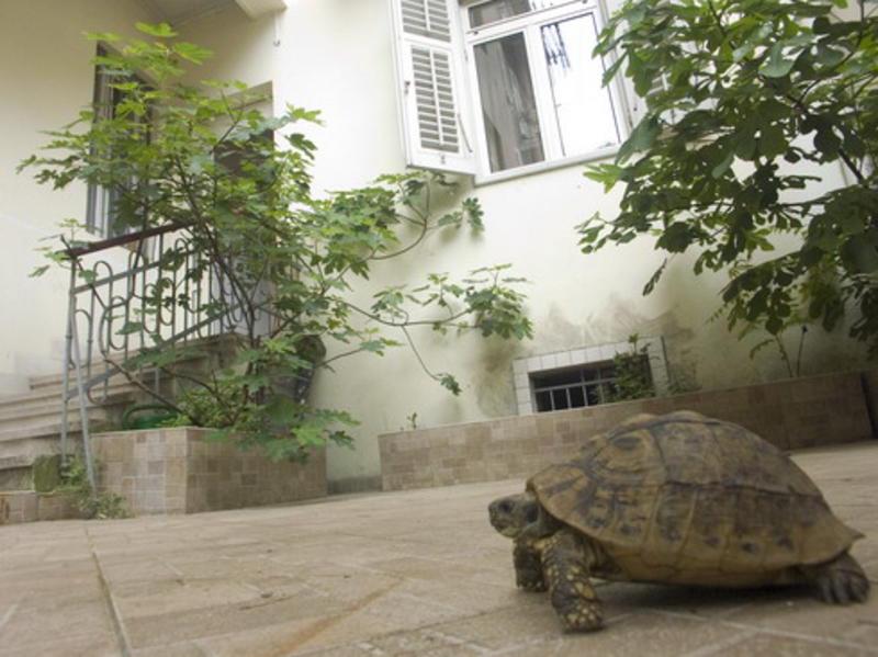 Split Guesthouse & Hostel photo 5