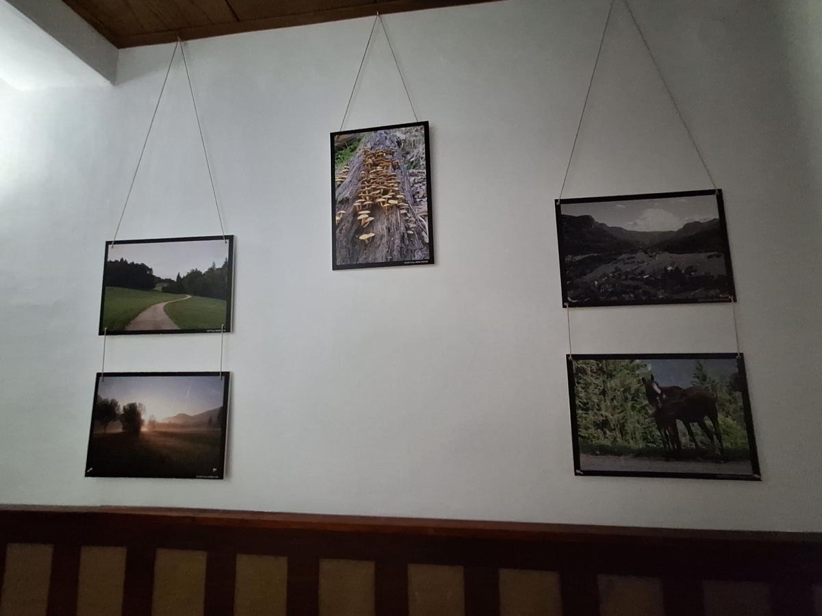 Sobe Arh – Rooms Arh photo 4