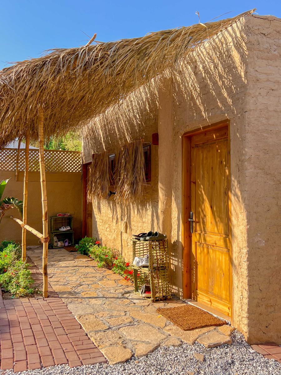 Rafiki Oasis photo 3