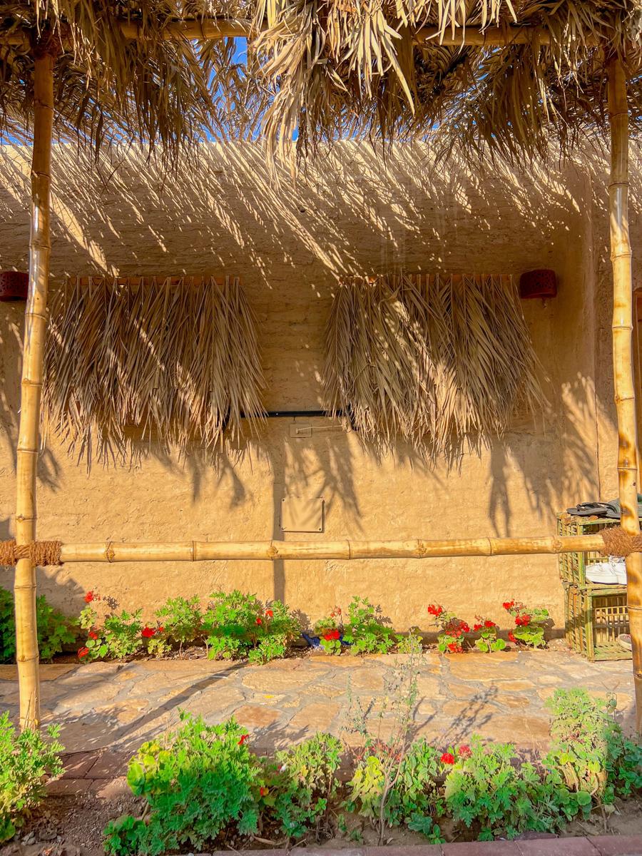 Rafiki Oasis photo 4