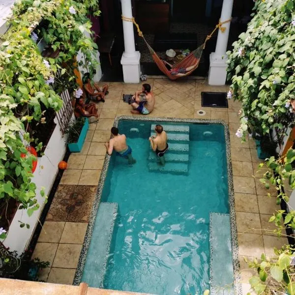 Mr. Baboon Hostel photo 5