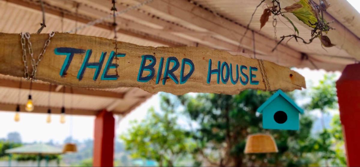The Birdhouse photo 4