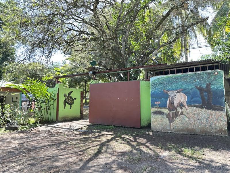 Costa Rica Animal Rescue Center photo 2