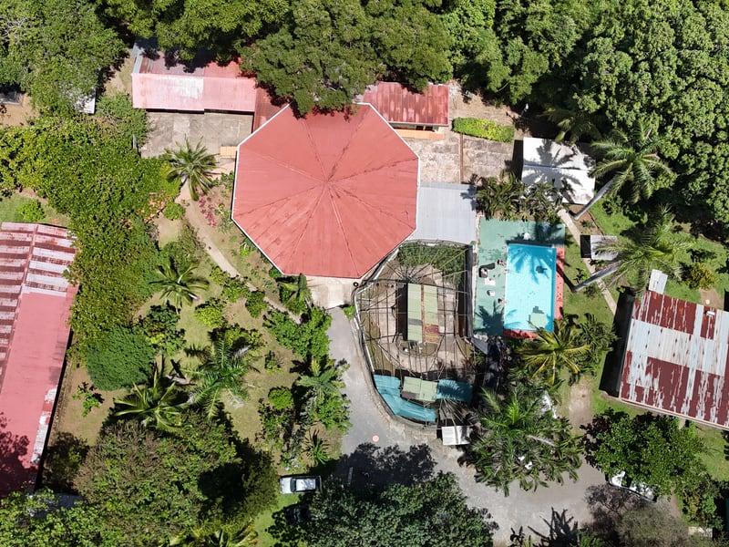 Costa Rica Animal Rescue Center photo 4