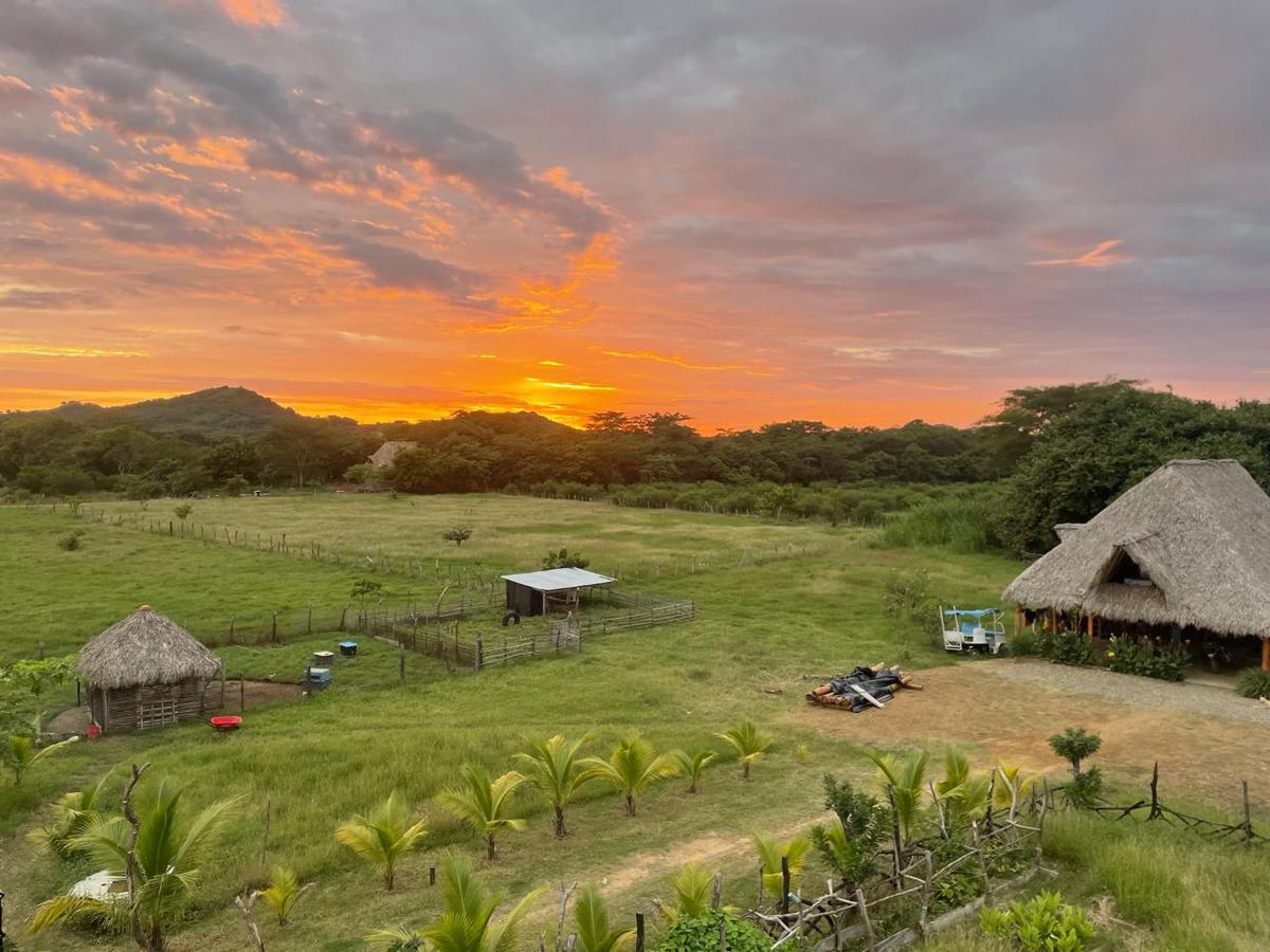 Finca Buena Vida photo 1