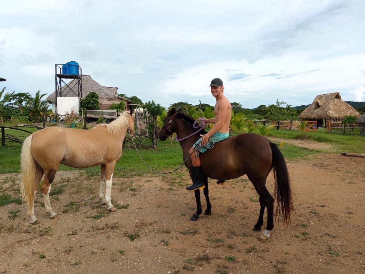 Finca Buena Vida photo 3