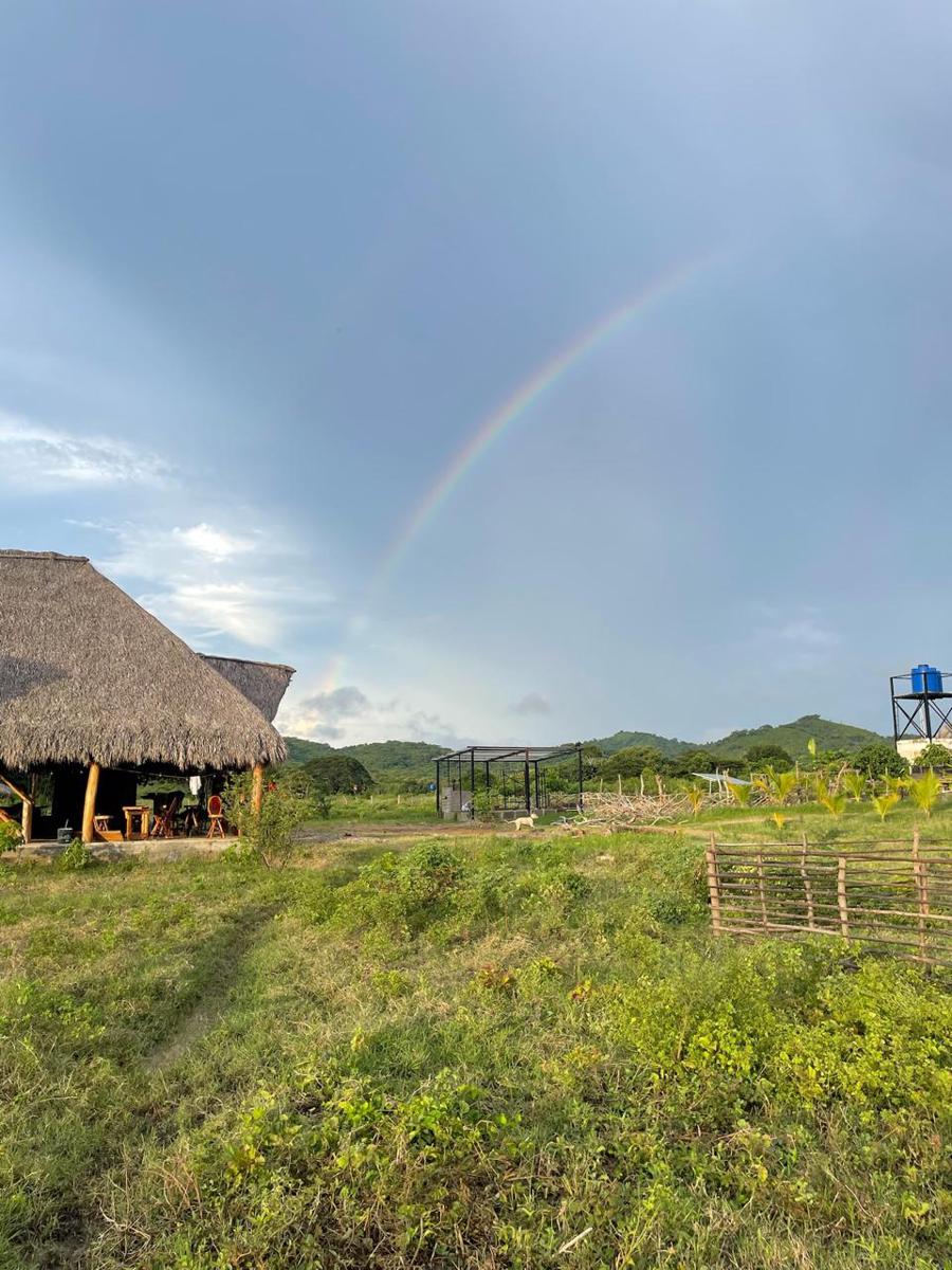Finca Buena Vida photo 4