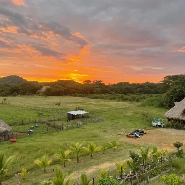 Finca Buena Vida photo 5
