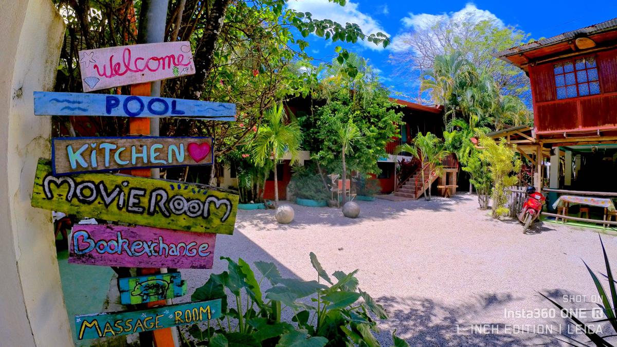 Blue Iguana photo 4