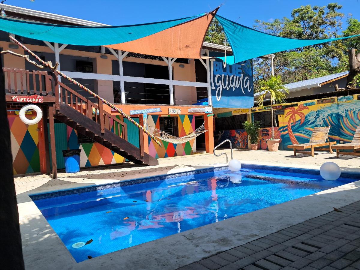 Blue Iguana photo 6