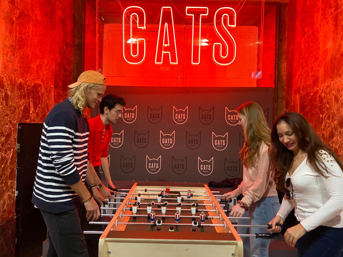 Cats Hostel Madrid Sol photo 2