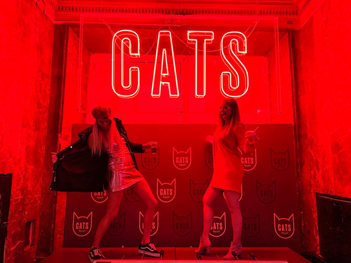 Cats Hostel Madrid Sol photo 3