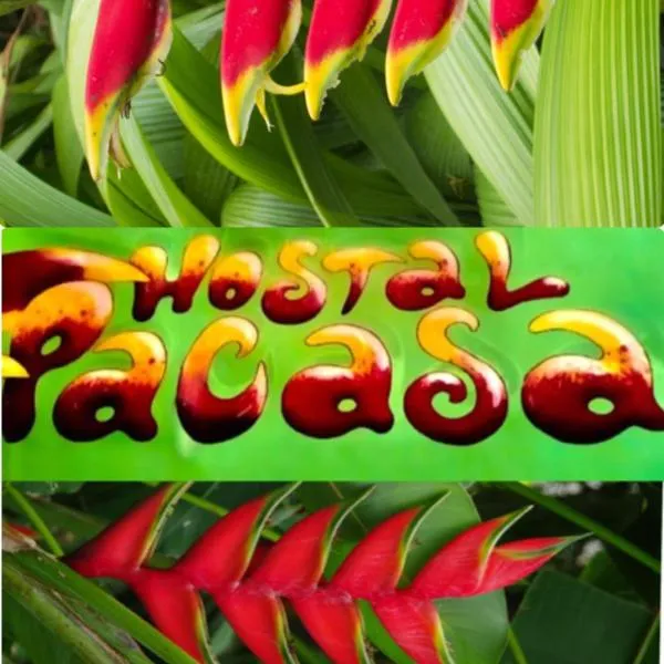 PaCasa Hostel photo 5
