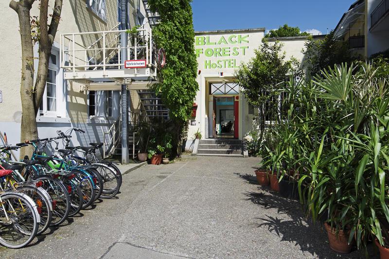 Black Forest Hostel photo 5