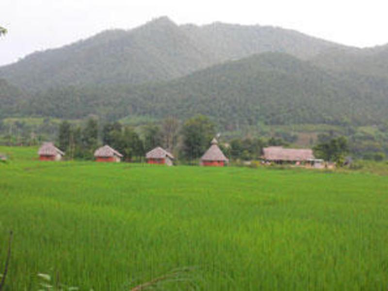 Yawning Fields Guesthouse photo 2