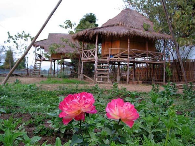 Yawning Fields Guesthouse photo 4