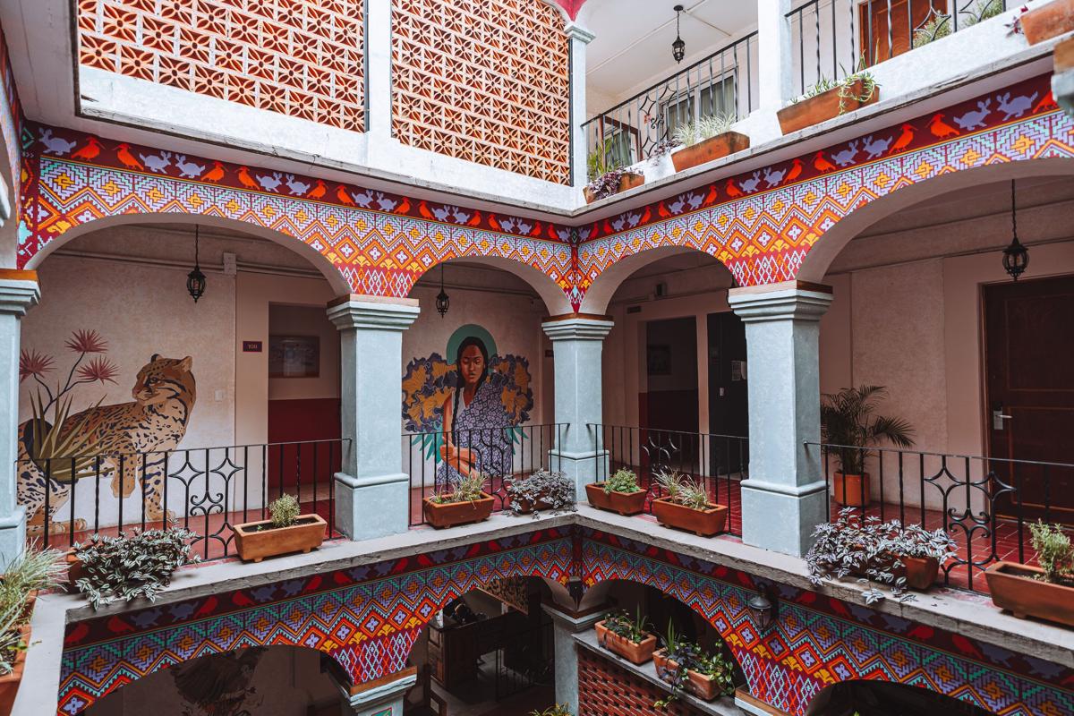 Selina Oaxaca photo 1