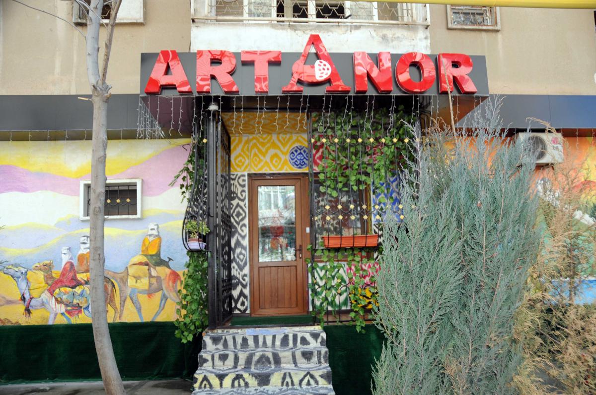 Art Anor photo 3