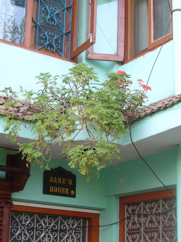 Sanus House photo 4