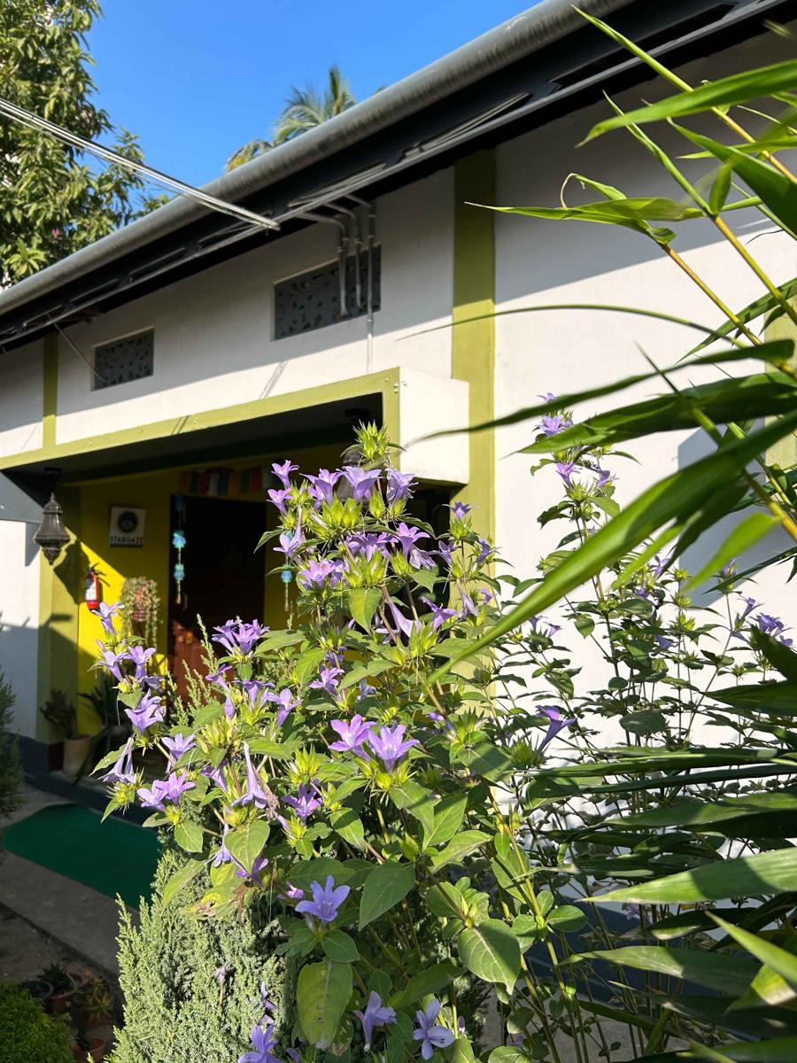 Stargaze Backpackers Hostel photo 1