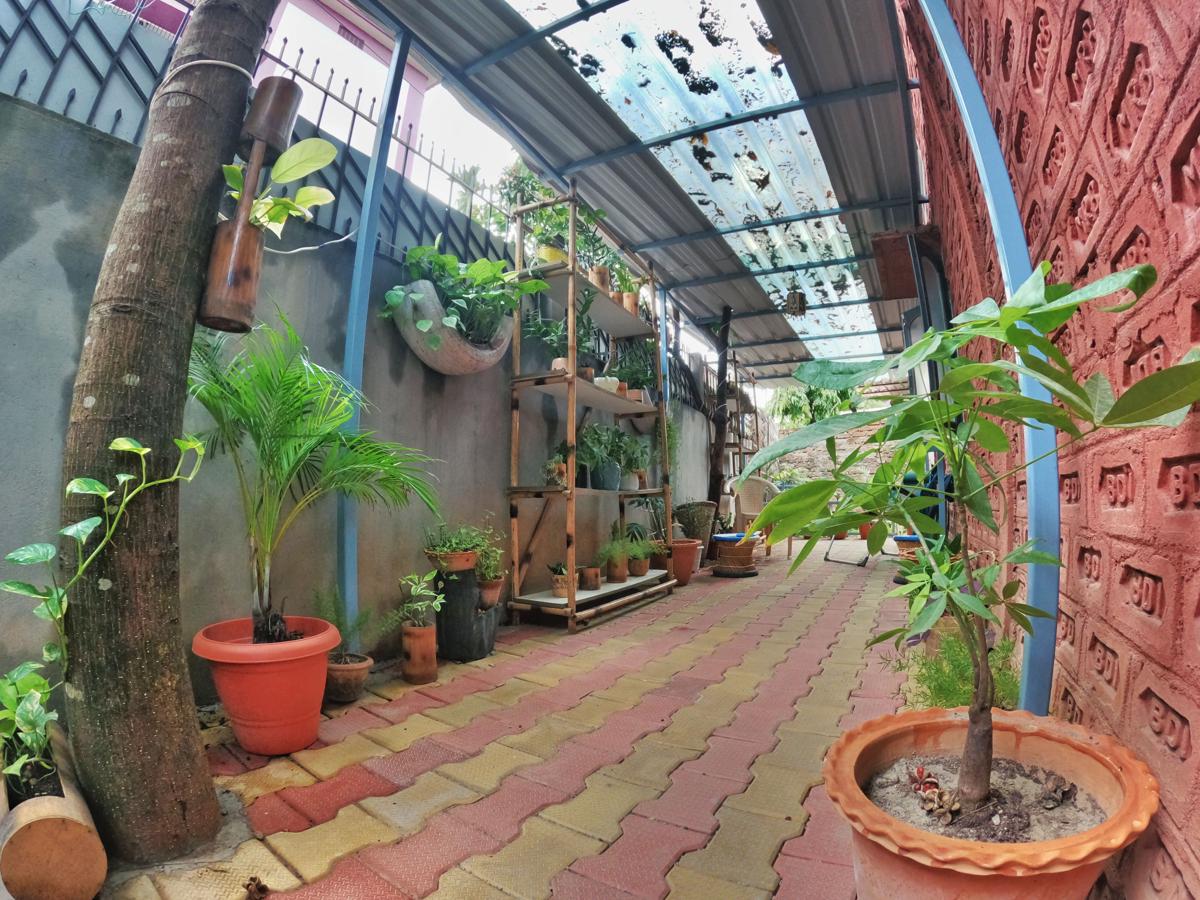 Stargaze Backpackers Hostel photo 4