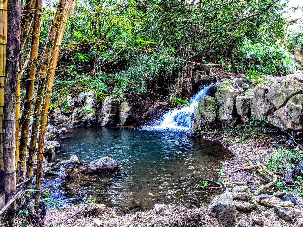 Hamakua Guesthouse photo 1
