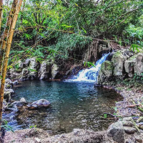 Hamakua Guesthouse photo 5