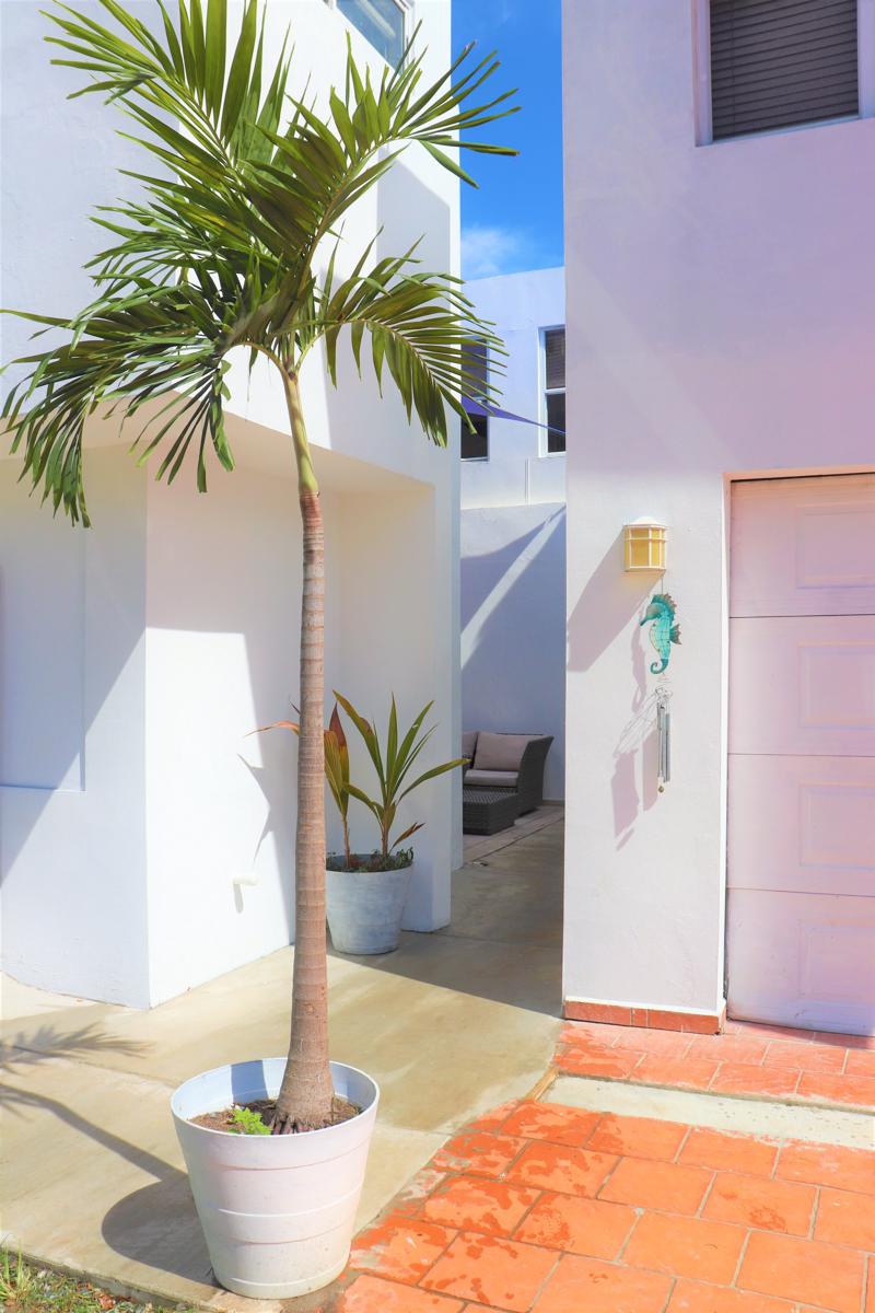 Mango Mansion photo 4