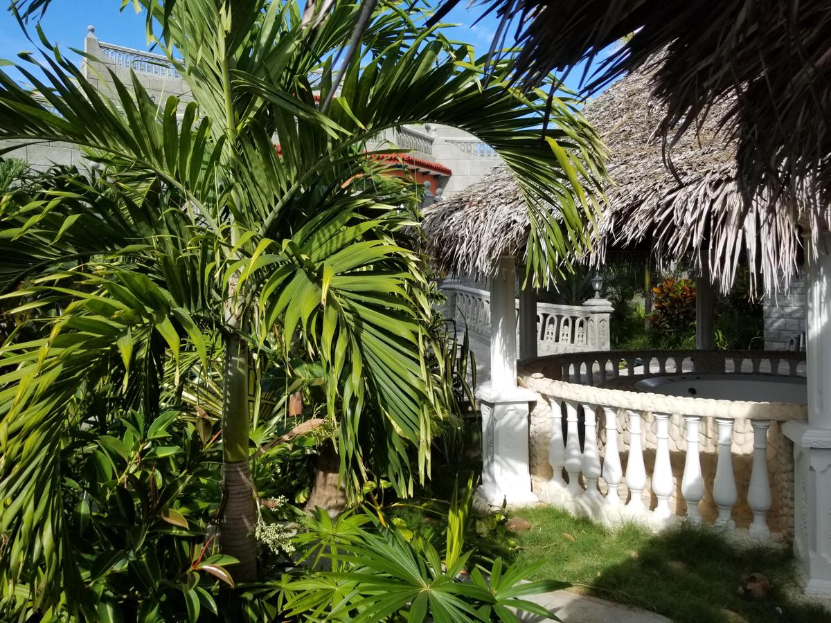 Hostal Las Palmas photo 4