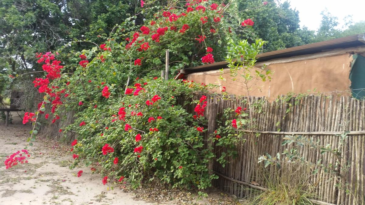 Thobeka Backpackers Lodge photo 2