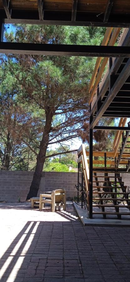 Diez Pinos photo 6