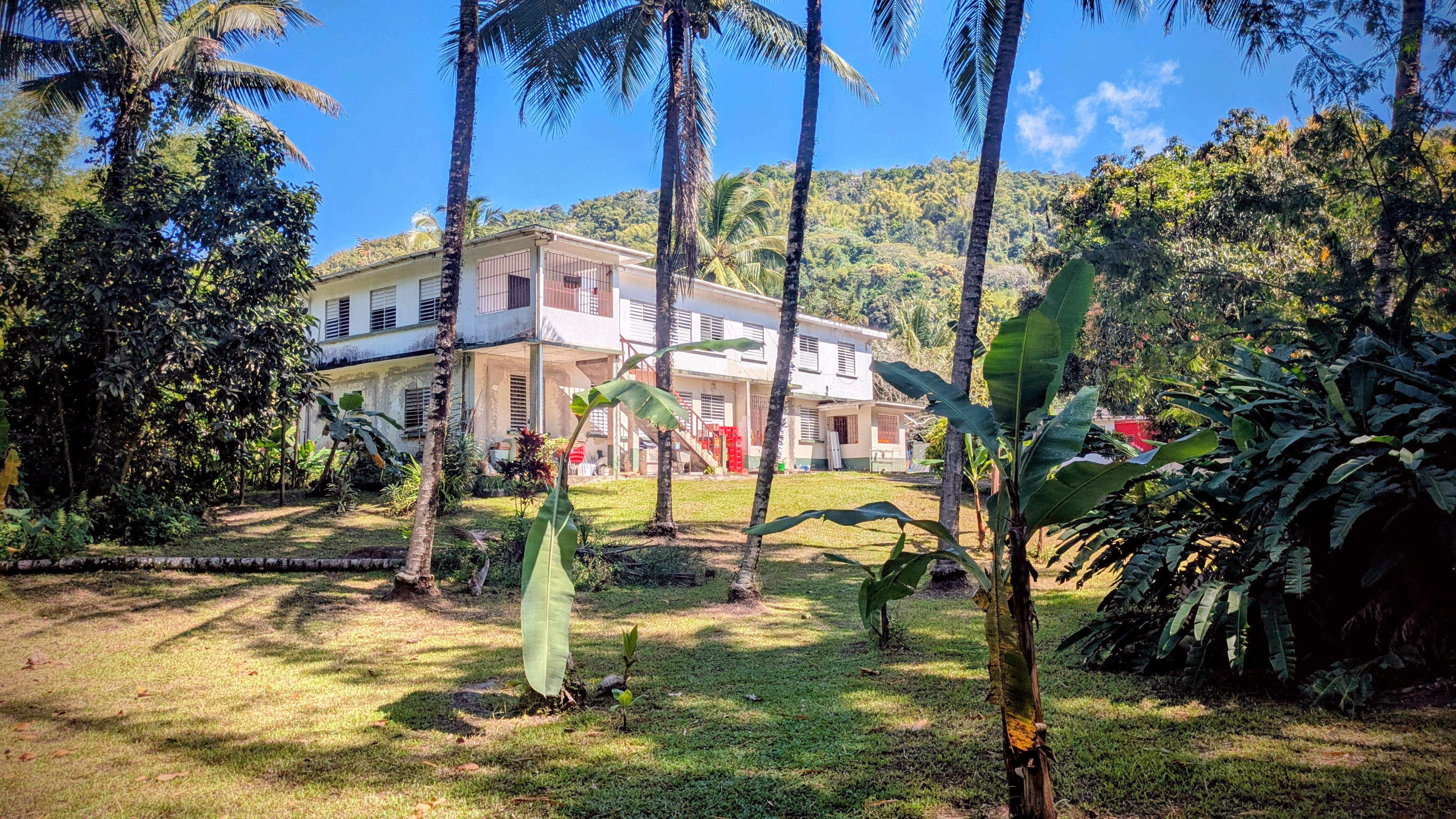 Kingston Reggae Garden