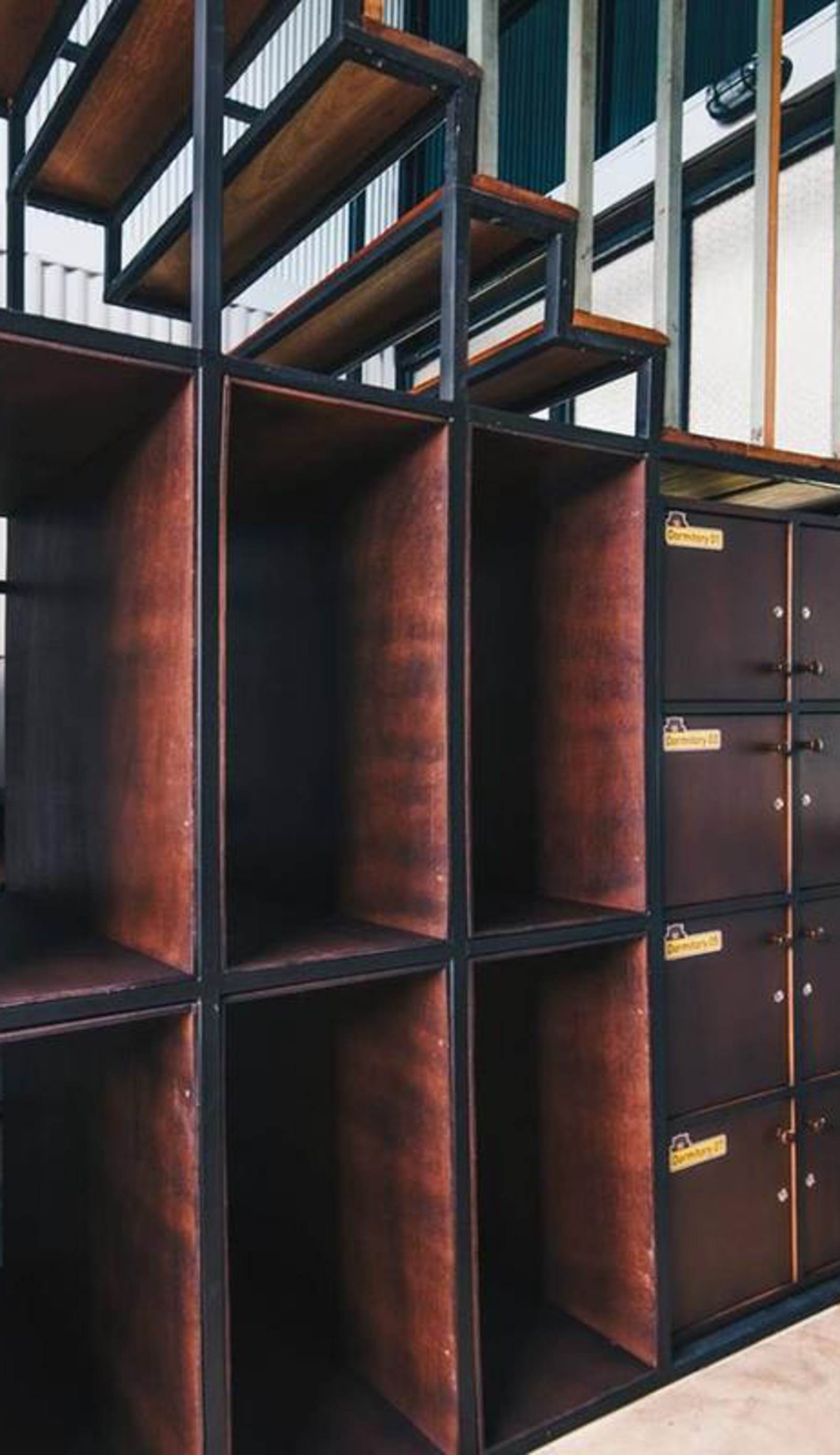 The Tree Sleep and Space