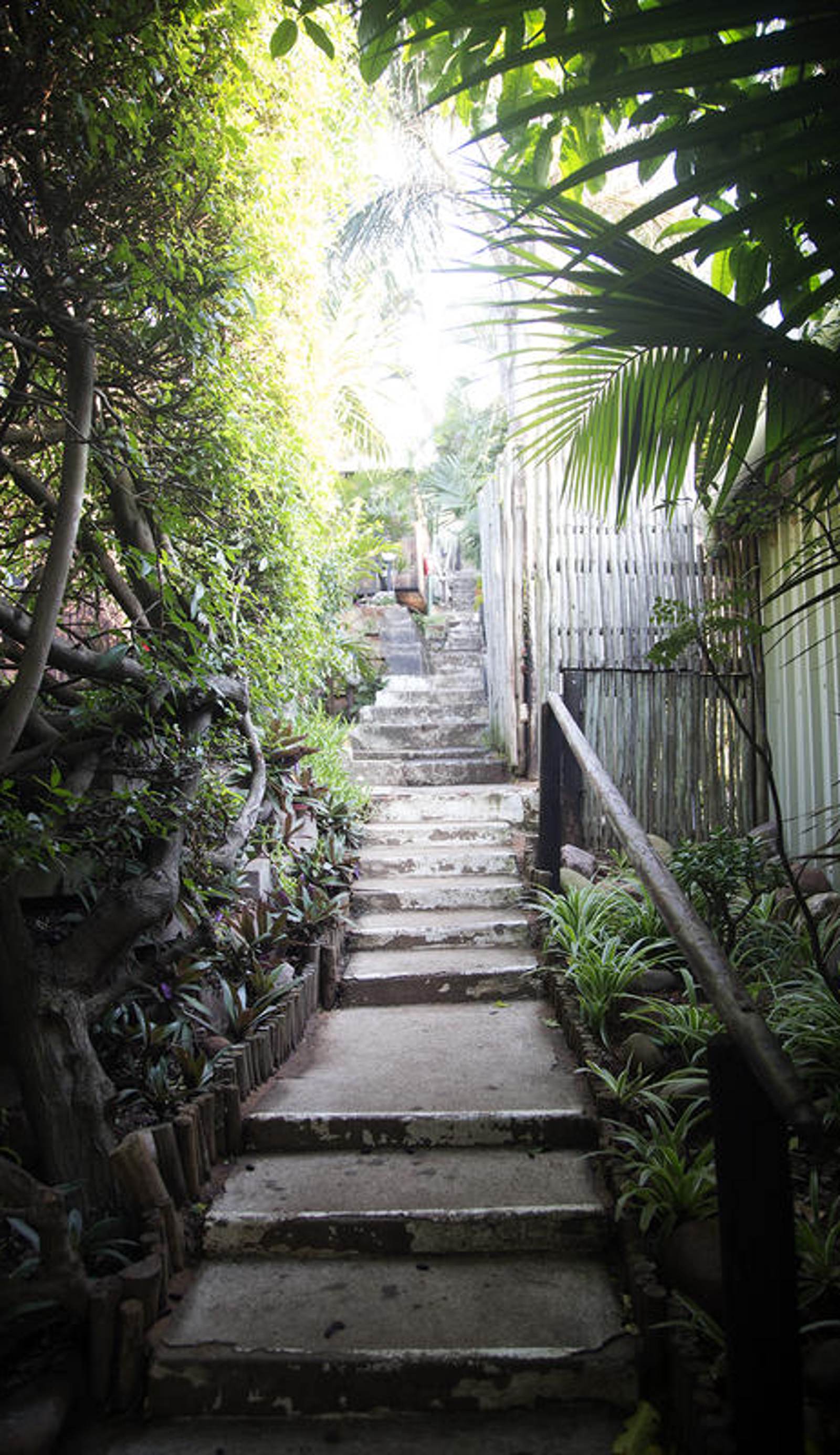 Ansteys Beach Backpackers