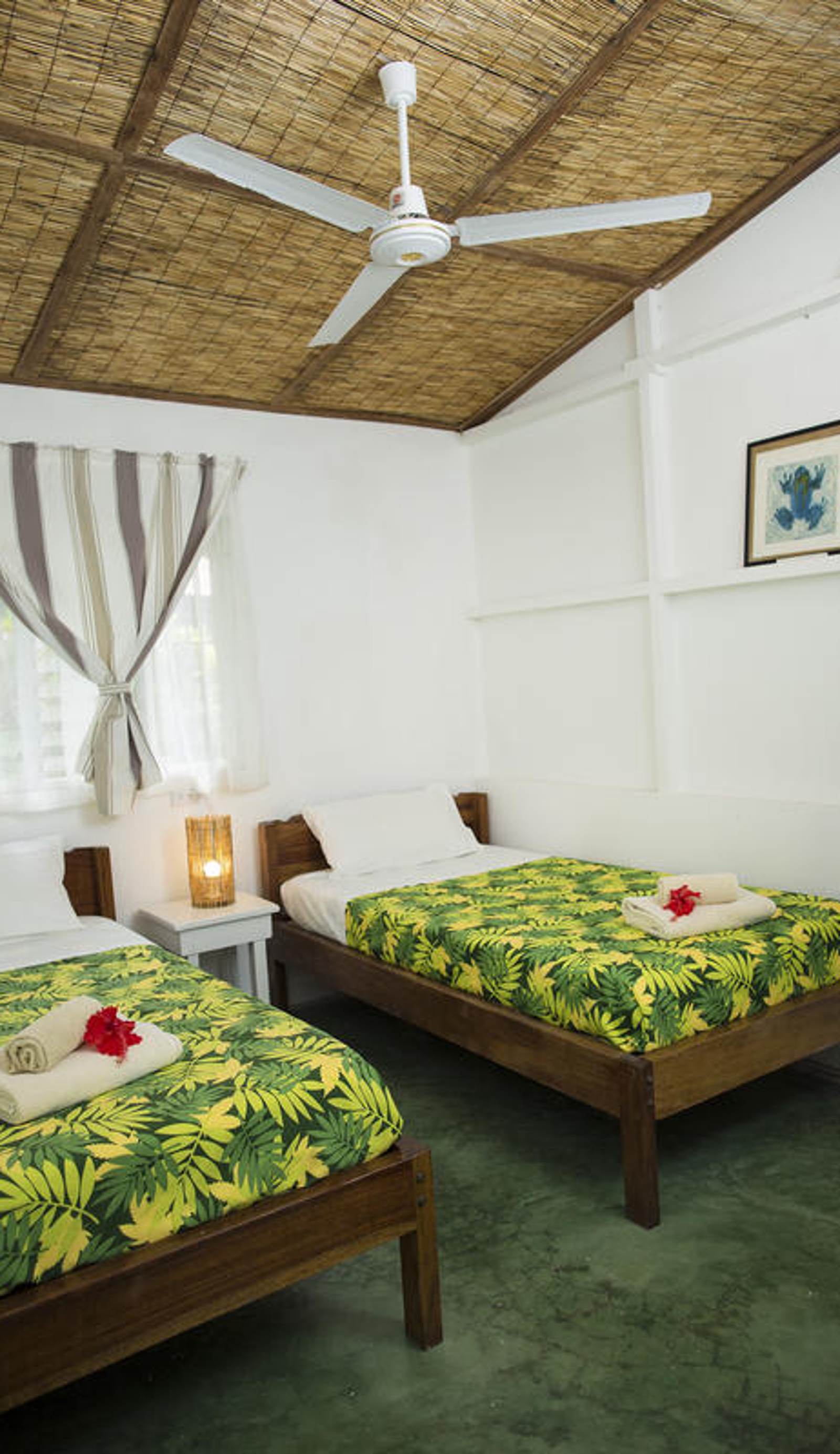 Bajo el Arbol B&B