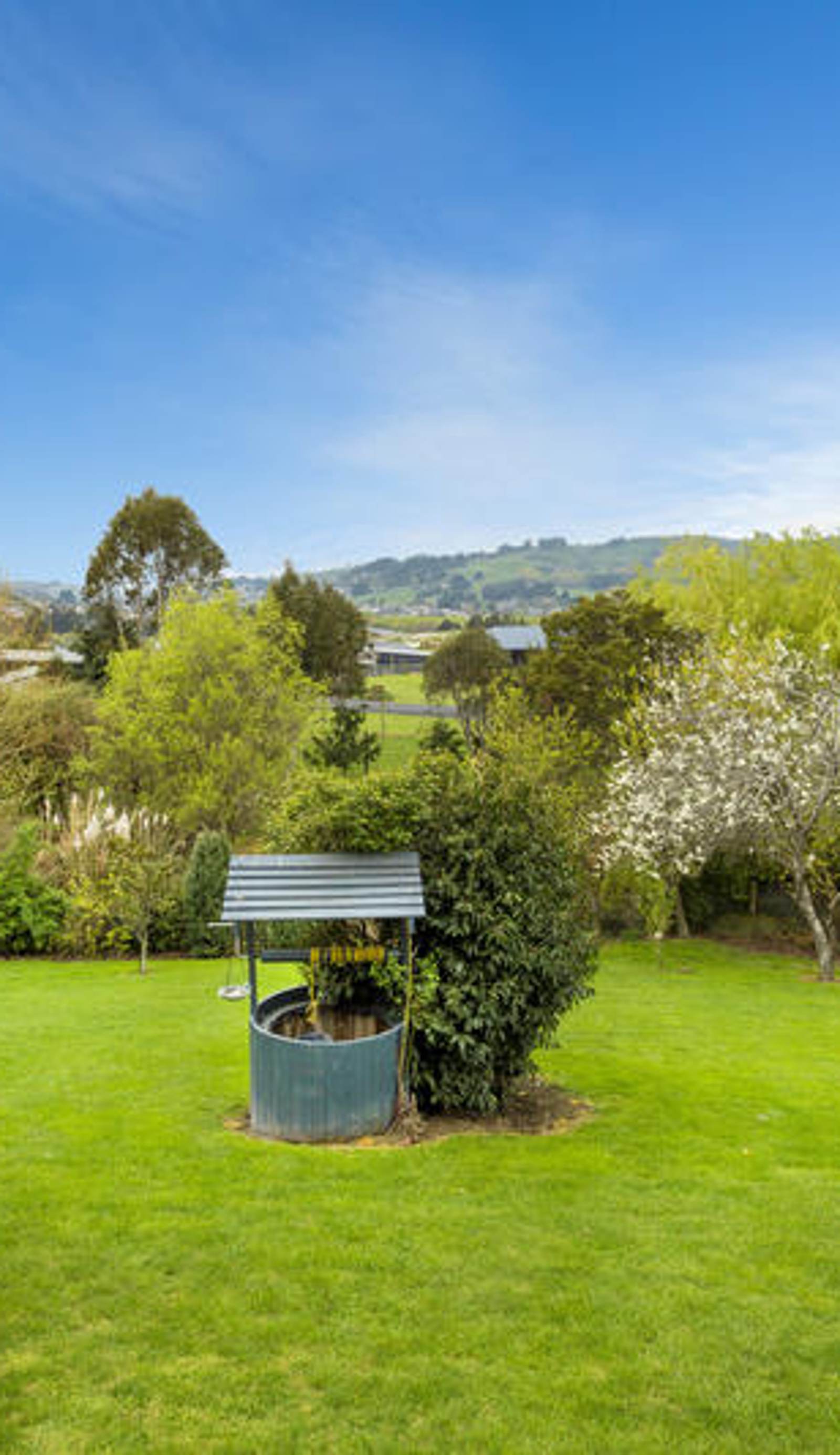 Superior Dunedin Apartments
