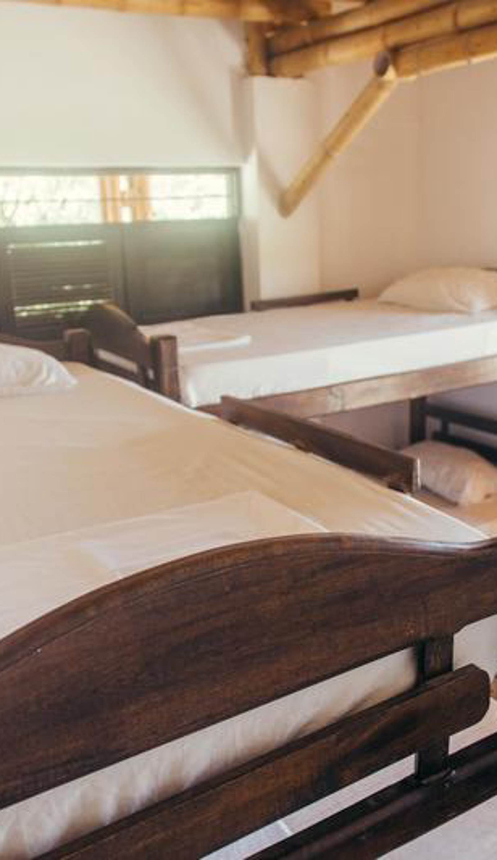La Tortuga Hostel