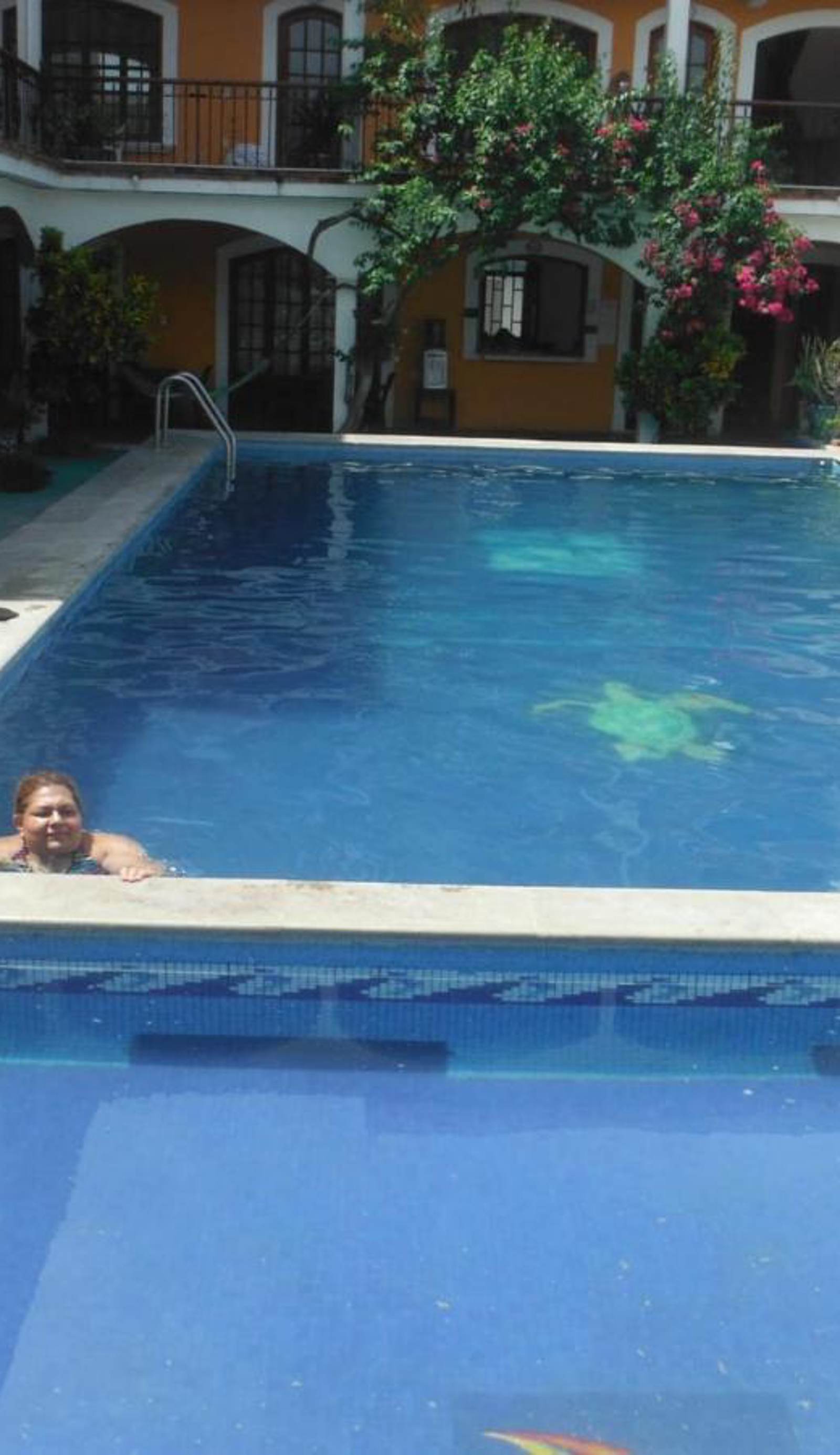 Don Luis Hostal - Sucursal Galeana - Tecolutla