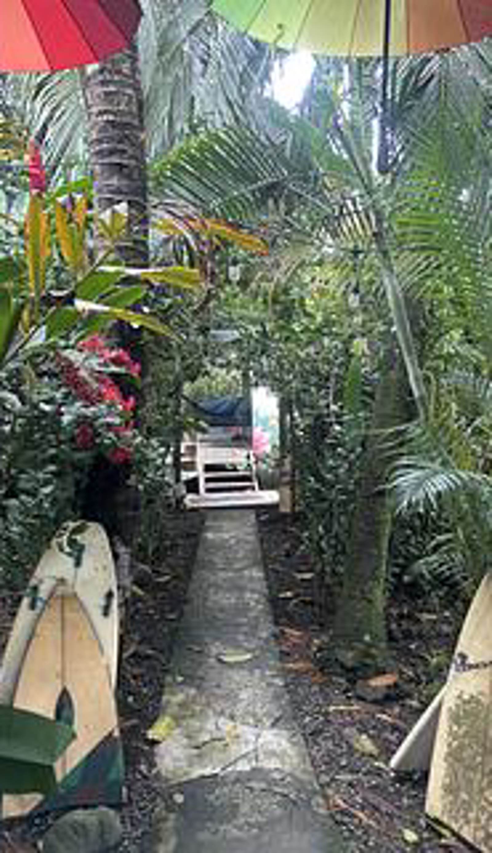 La Y Surf Camp