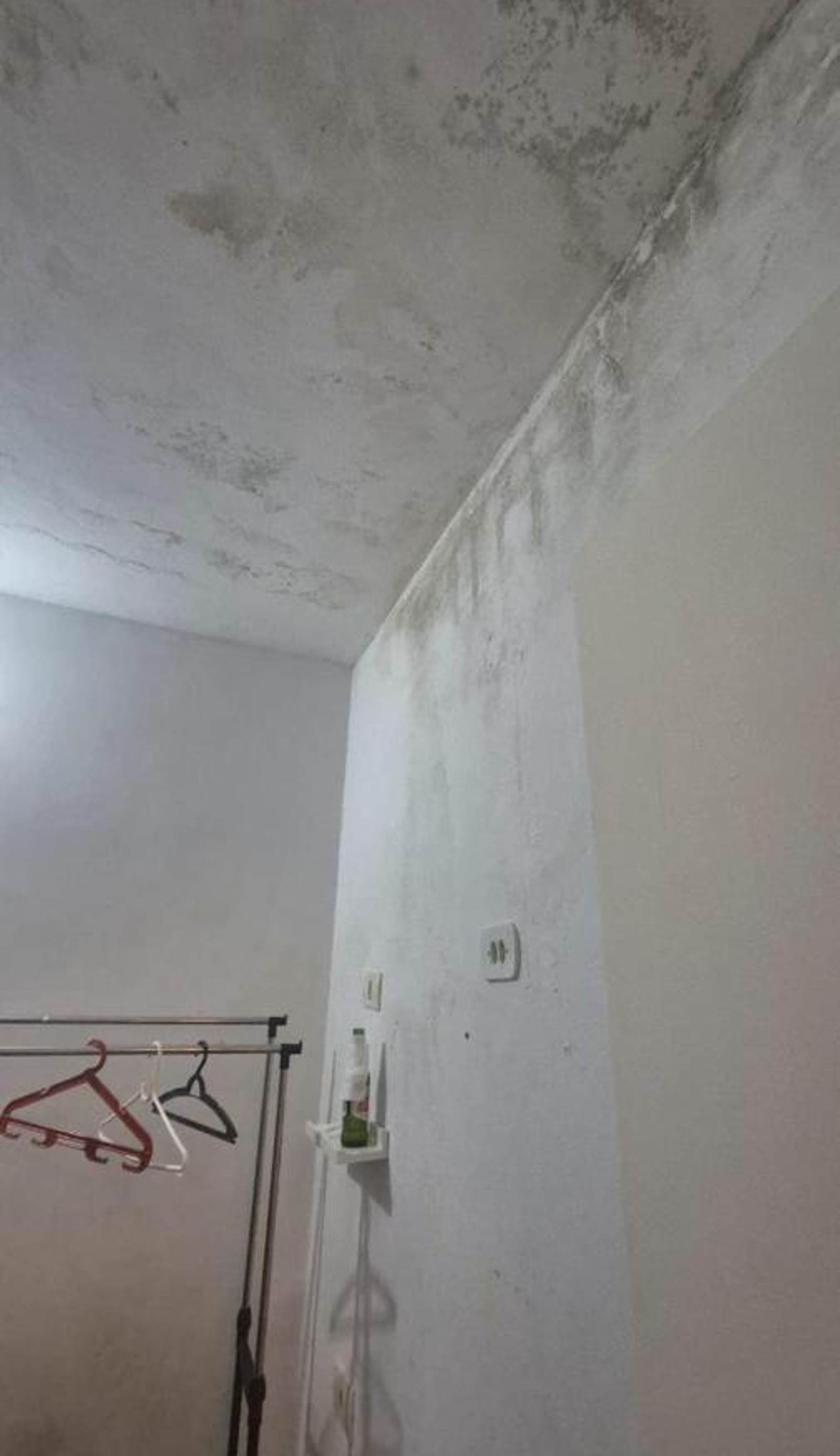 Girassol Hostel Vila Madalena