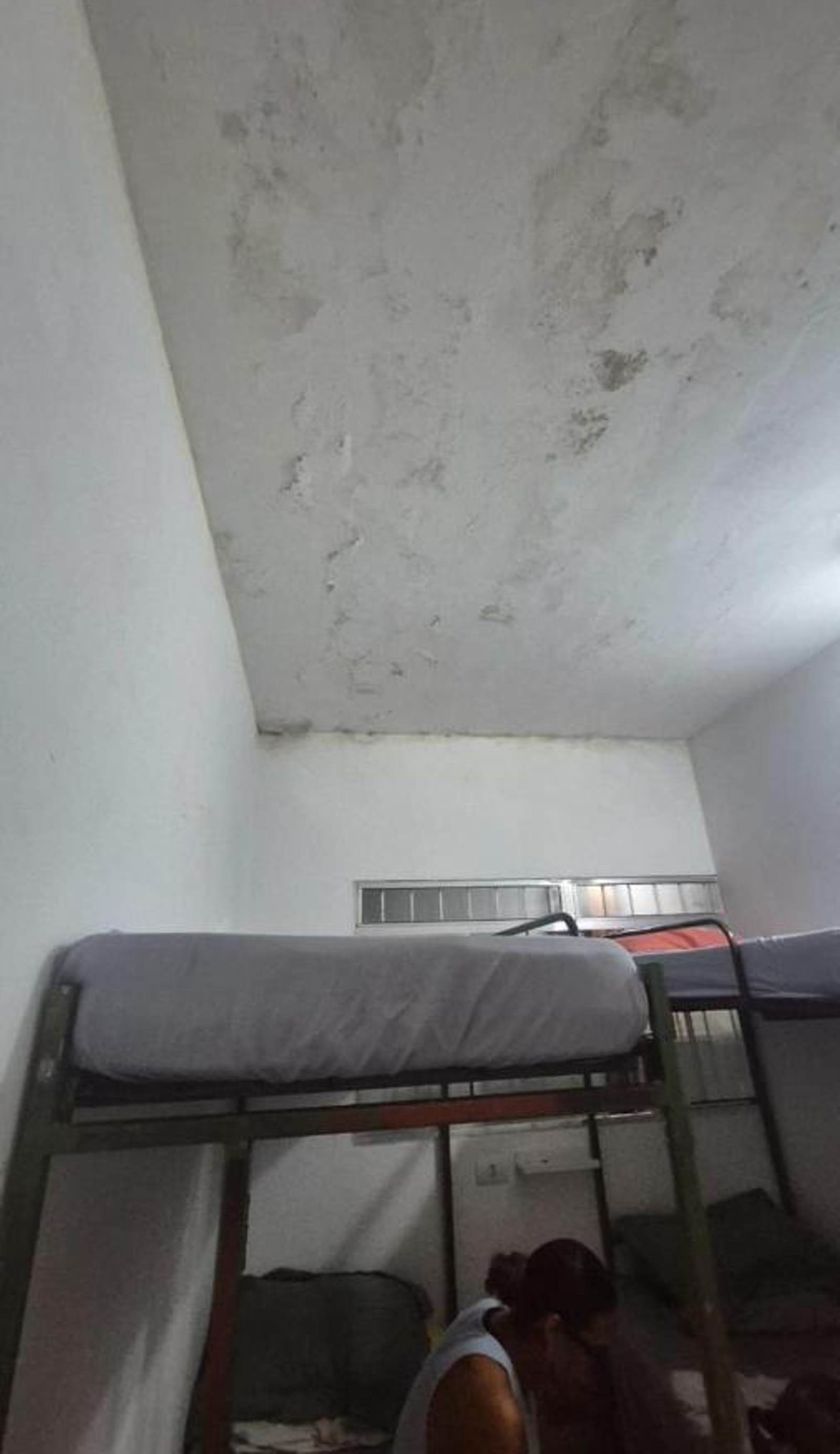Girassol Hostel Vila Madalena