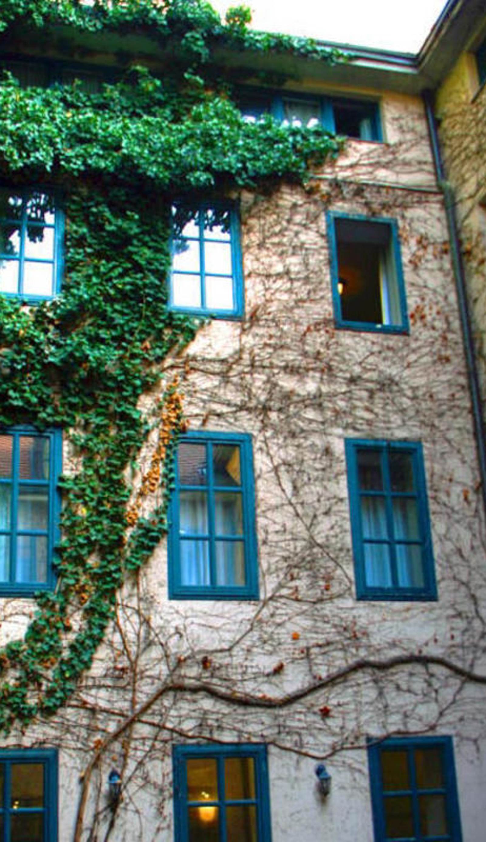 Hostel Wien - Myrthengasse (HI)