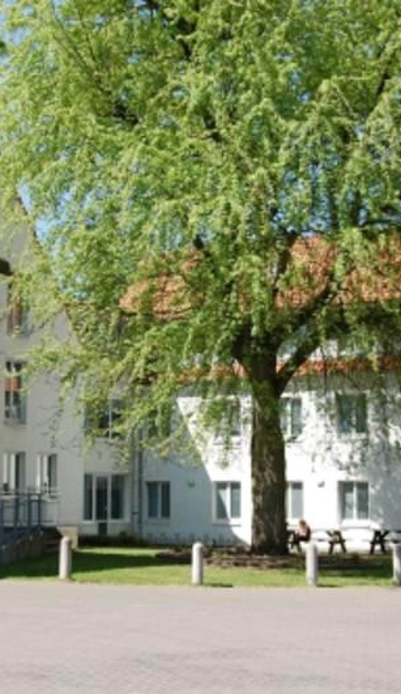 Jugendherberge Lübeck-Vor dem Burgtor